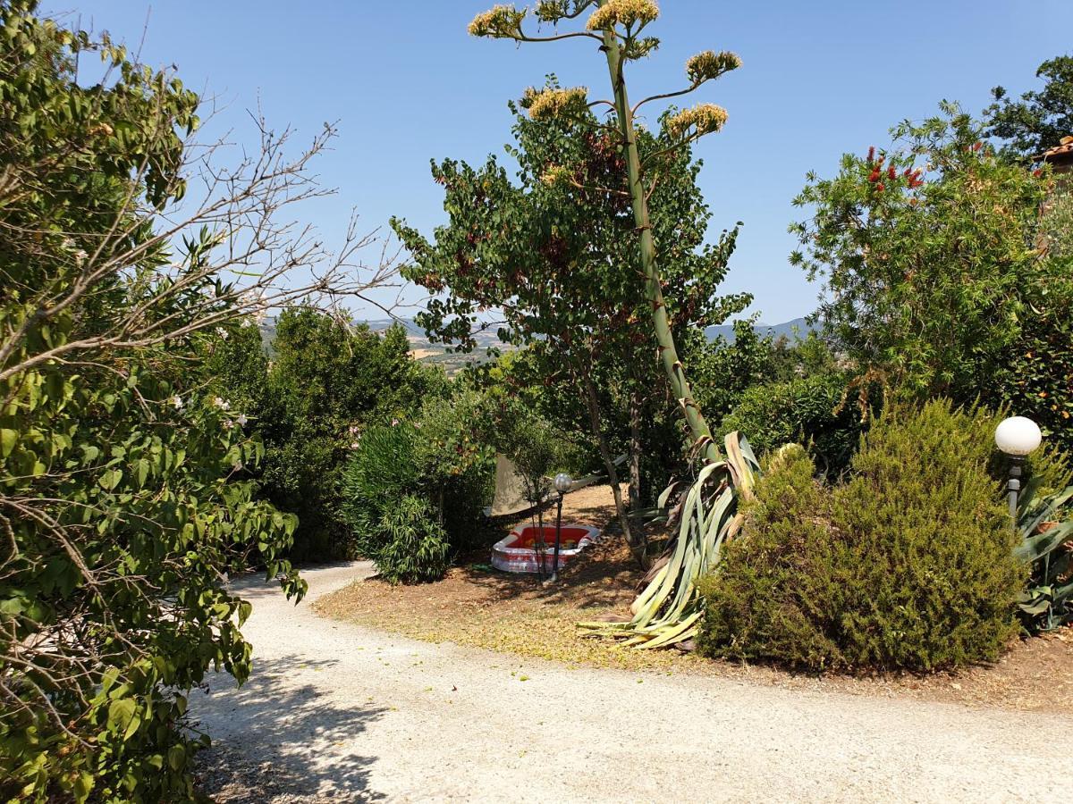 Le Querciolaie Monte Cavallo - Lower Apartment Saturnia Exterior photo